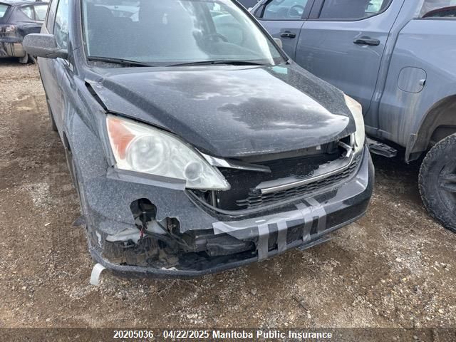 2011 Honda Cr-V Lx VIN: 5J6RE4H36BL812719 Lot: 20205036