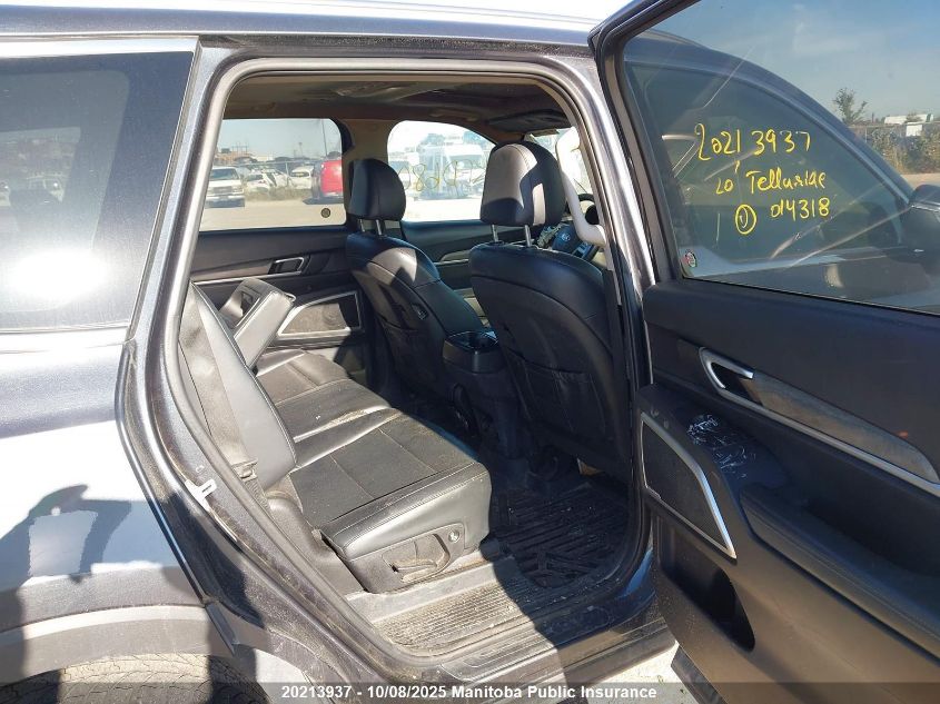 2020 Kia Telluride Ex VIN: 5XYP3DHC8LG014318 Lot: 20213937