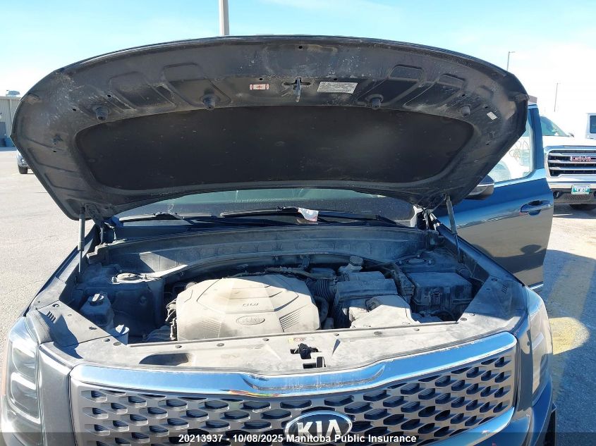 2020 Kia Telluride Ex VIN: 5XYP3DHC8LG014318 Lot: 20213937