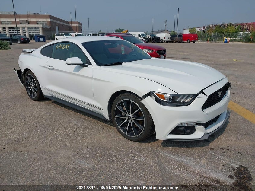 2017 Ford Mustang VIN: 1FA6P8TH1H5303945 Lot: 20217897