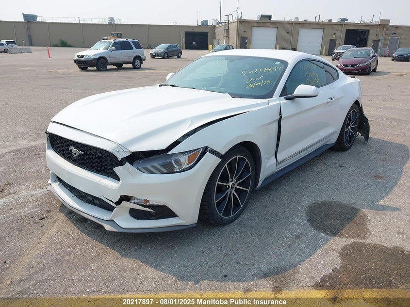 2017 Ford Mustang VIN: 1FA6P8TH1H5303945 Lot: 20217897