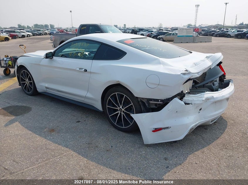 2017 Ford Mustang VIN: 1FA6P8TH1H5303945 Lot: 20217897