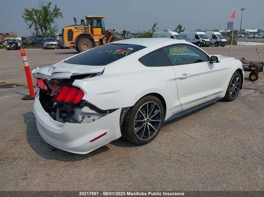 2017 Ford Mustang VIN: 1FA6P8TH1H5303945 Lot: 20217897