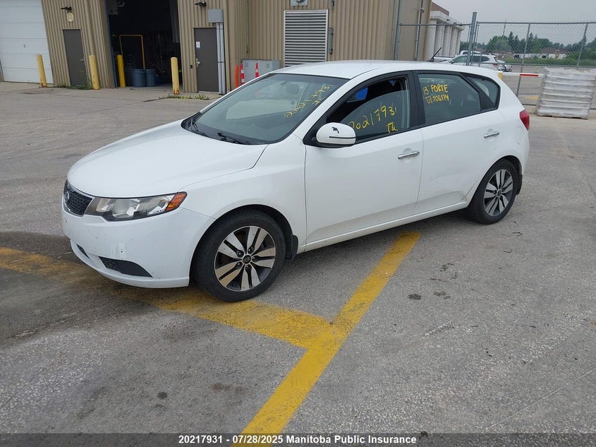 2013 Kia Forte Ex VIN: KNAFU5A29D5706174 Lot: 20217931