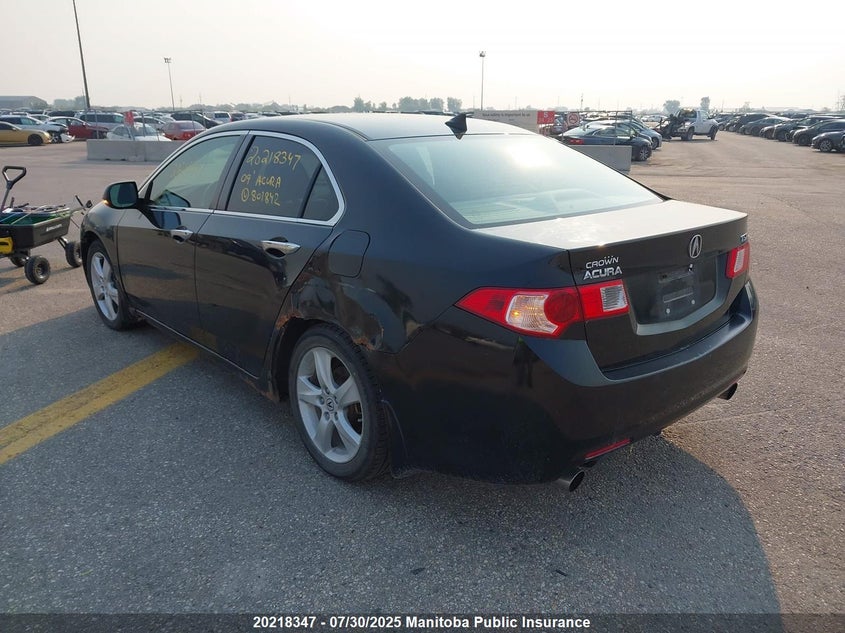 2009 Acura Tsx VIN: JH4CU26649C801842 Lot: 20218347