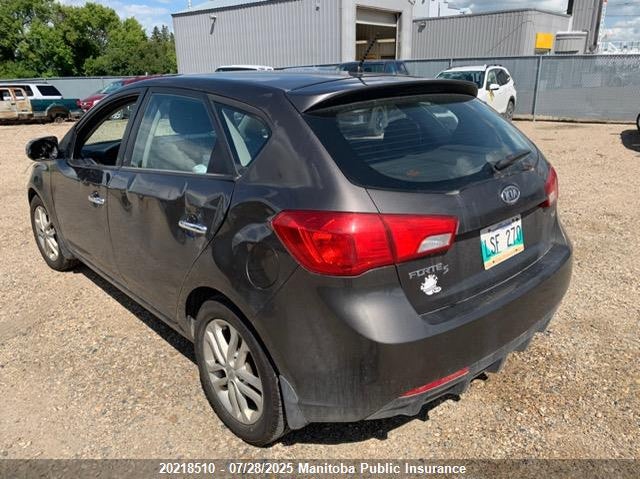 2012 Kia Forte Ex VIN: KNAFU5A27C5567290 Lot: 20218510