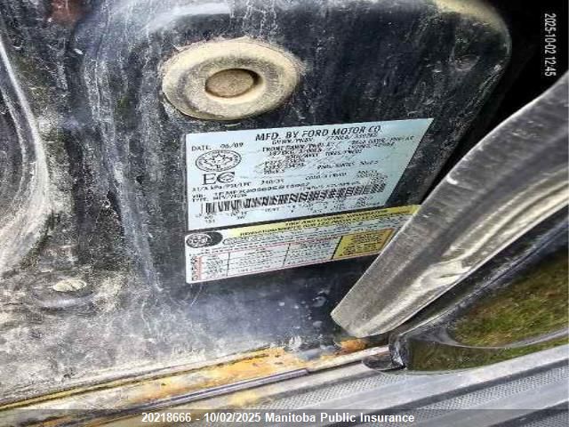 2009 Ford Expedition El Limited VIN: 1FMFK20569EB15967 Lot: 20218666