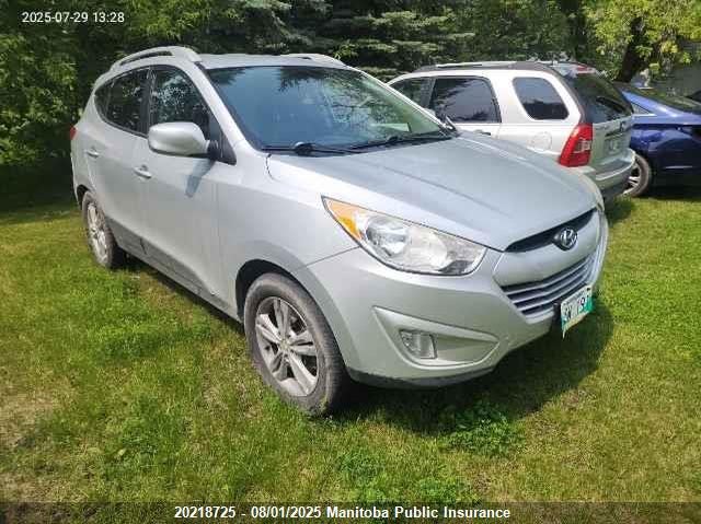 2010 Hyundai Tucson Gls/Limited VIN: KM8JUCAC3AU029405 Lot: 20218725