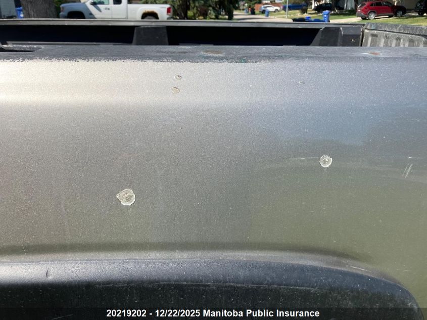 2003 GMC Sierra 1500 Pickup VIN: 1GTEC14V83Z202884 Lot: 20219202