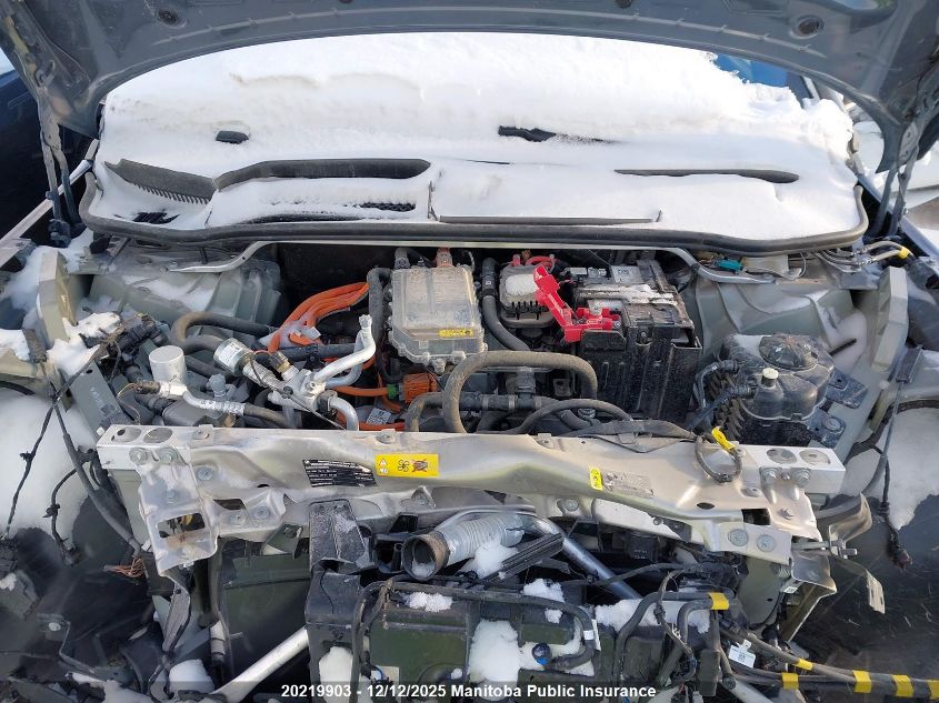 2024 BMW Ix M60 VIN: WB533CF04RCP31728 Lot: 20219903