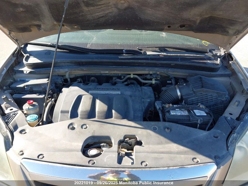 2007 Honda Odyssey Ex-L VIN: 5FNRL38677B512049 Lot: 20221019