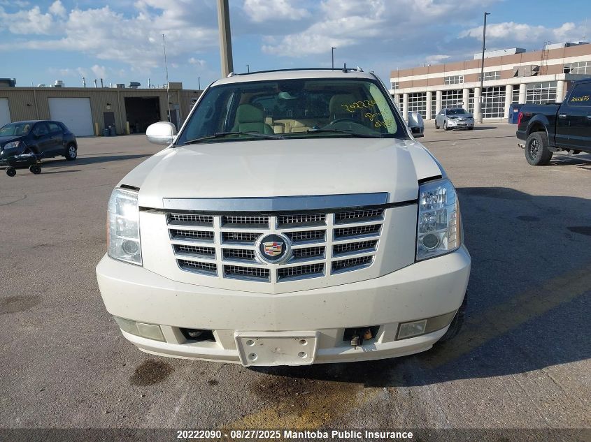 2007 Cadillac Escalade Ext VIN: 3GYFK628X7G161174 Lot: 20222090