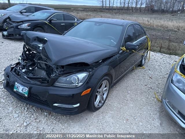 2014 Mercedes Benz C300W 4Matic VIN: WDDGF8AB0EA966836 Lot: 20222415