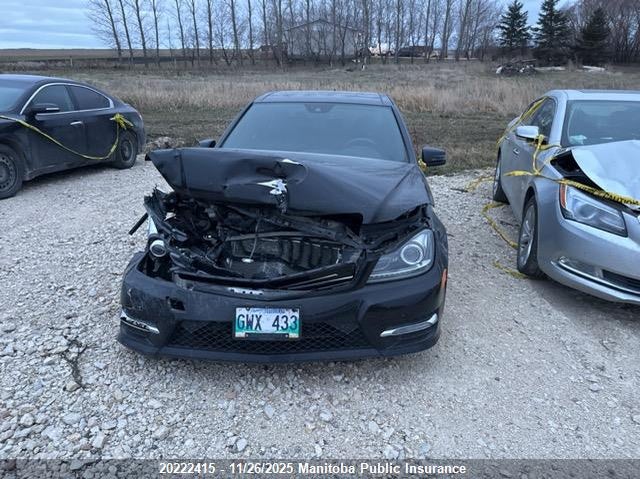 2014 Mercedes Benz C300W 4Matic VIN: WDDGF8AB0EA966836 Lot: 20222415