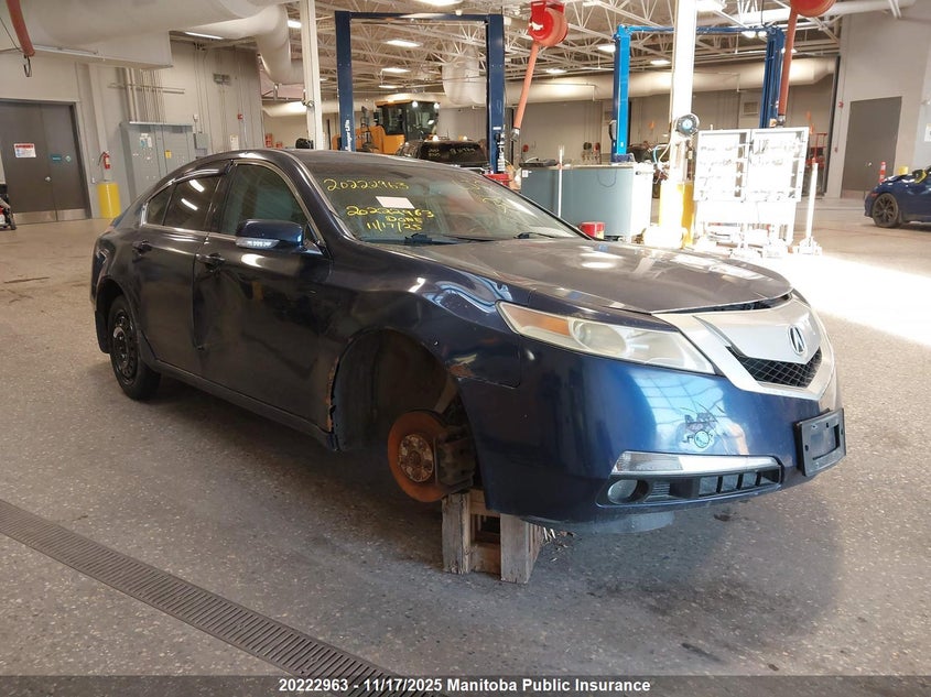 2009 Acura Tl VIN: 19UUA86239A801052 Lot: 20222963