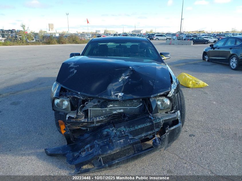 2008 Ford Mustang VIN: 1ZVHT80N485201903 Lot: 20223448