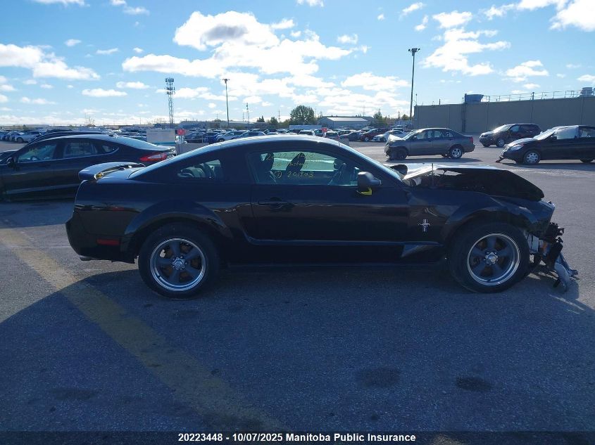 2008 Ford Mustang VIN: 1ZVHT80N485201903 Lot: 20223448