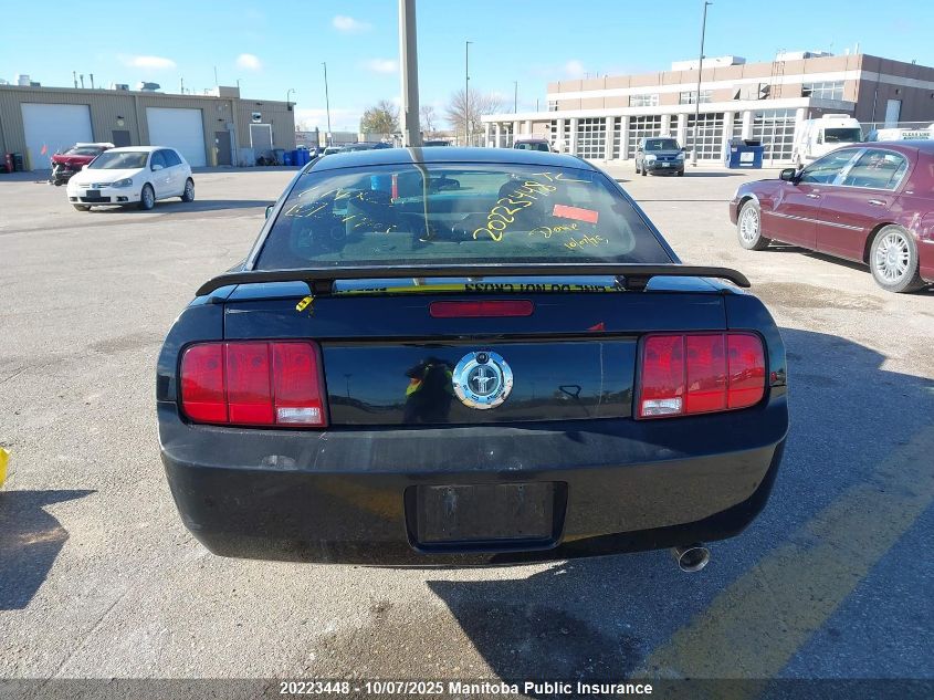 2008 Ford Mustang VIN: 1ZVHT80N485201903 Lot: 20223448