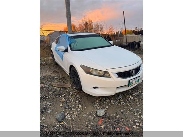 1HGCS12848A802431 2008 Honda Accord Ex-L auction photo 1