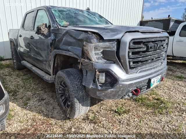 1GTP9EEL2LZ362027 2020 GMC Sierra 1500 At4 Crew Cab auction photo 1