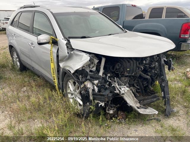 2014 Kia Sorento Lx VIN: 5XYKTCA64EG491937 Lot: 20225254