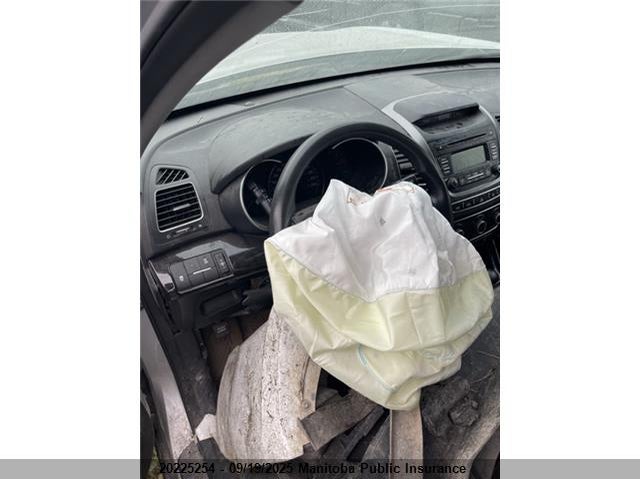 2014 Kia Sorento Lx VIN: 5XYKTCA64EG491937 Lot: 20225254