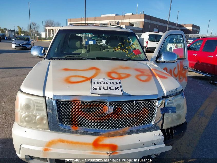 2004 Cadillac Escalade VIN: 1GYEK63N04R206909 Lot: 20225485