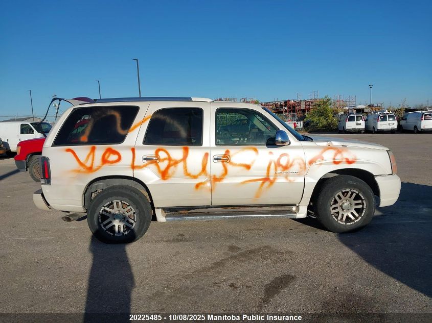 2004 Cadillac Escalade VIN: 1GYEK63N04R206909 Lot: 20225485