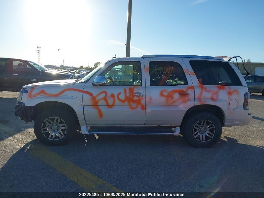 2004 Cadillac Escalade VIN: 1GYEK63N04R206909 Lot: 20225485