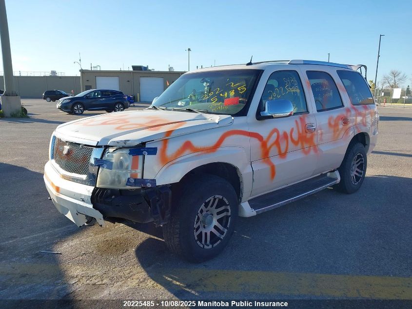 2004 Cadillac Escalade VIN: 1GYEK63N04R206909 Lot: 20225485