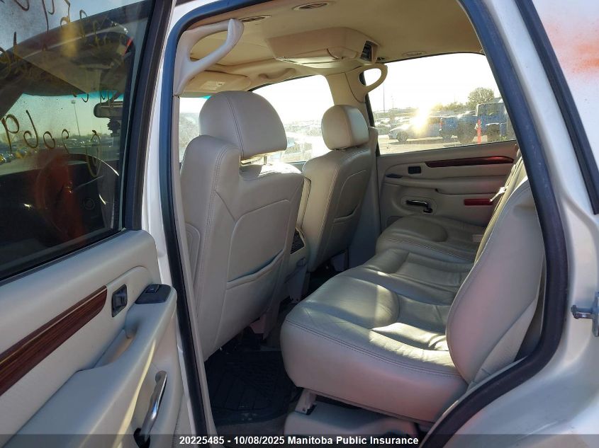 2004 Cadillac Escalade VIN: 1GYEK63N04R206909 Lot: 20225485