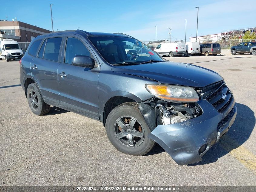 2009 Hyundai Santa Fe Gl VIN: 5NMSG13DX9H313921 Lot: 20225624