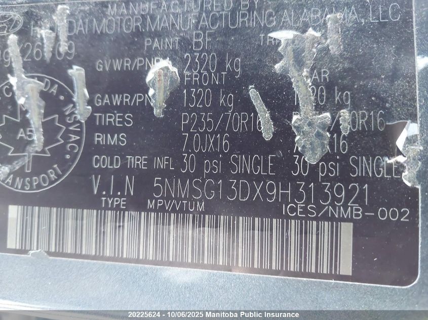 2009 Hyundai Santa Fe Gl VIN: 5NMSG13DX9H313921 Lot: 20225624