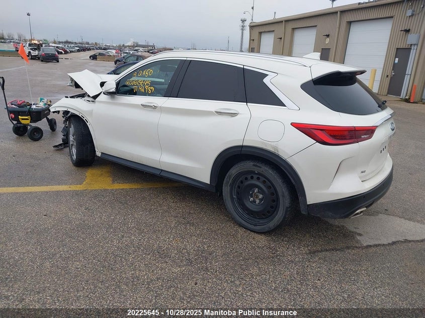 3PCAJ5M38KF142989 2019 INFINITI QX50 photo no. 3