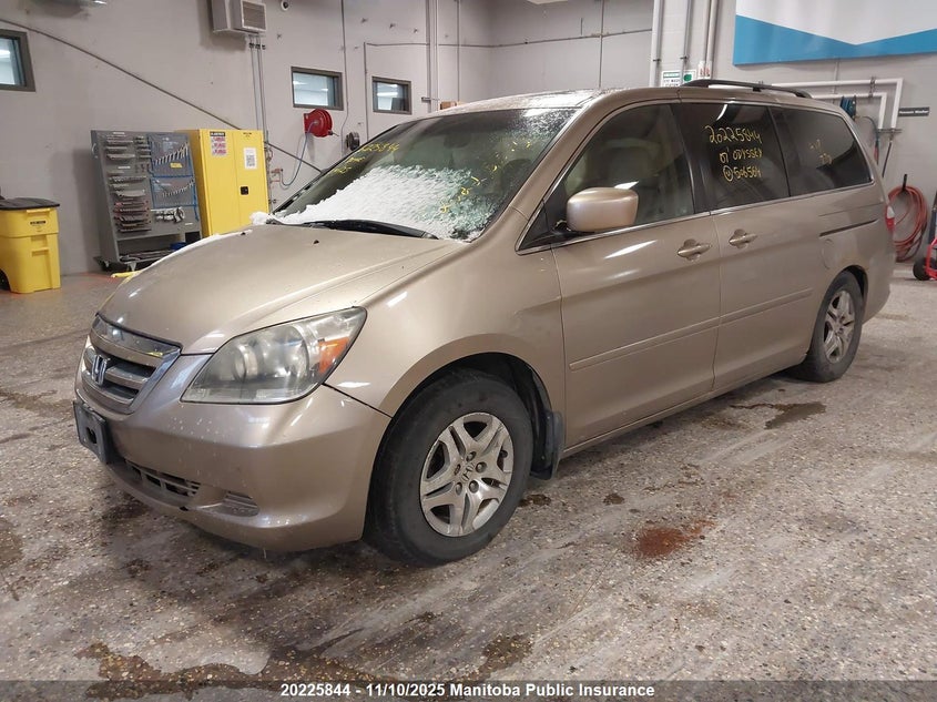 5FNRL38737B506564 2007 HONDA ODYSSEY photo no. 2