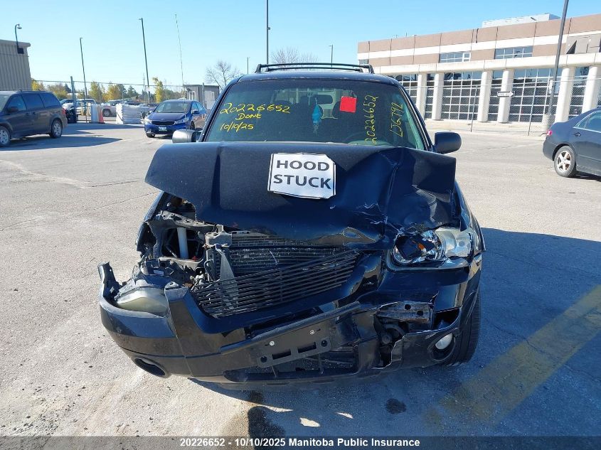 2007 Ford Escape Xlt V6 VIN: 1FMYU931X7KA32349 Lot: 20226652