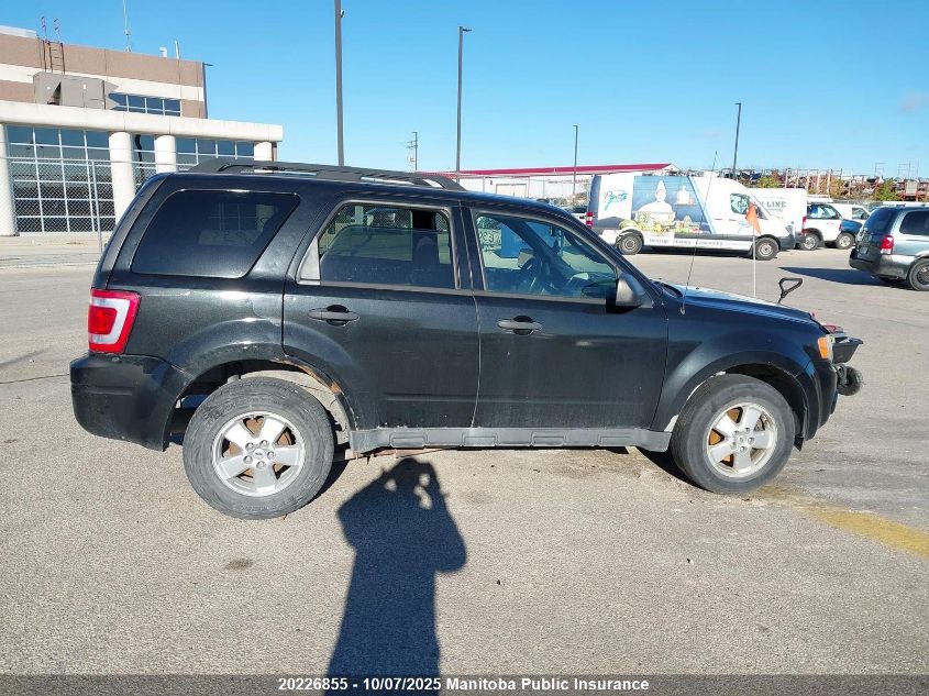 2011 Ford Escape Xlt VIN: 1FMCU9D75BKB04967 Lot: 20226855