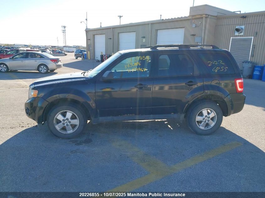 2011 Ford Escape Xlt VIN: 1FMCU9D75BKB04967 Lot: 20226855