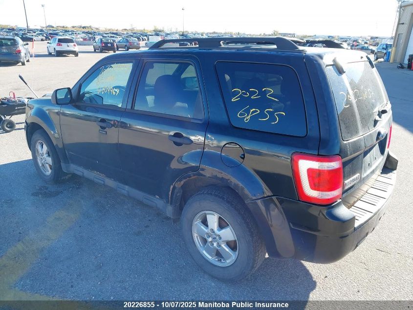 2011 Ford Escape Xlt VIN: 1FMCU9D75BKB04967 Lot: 20226855