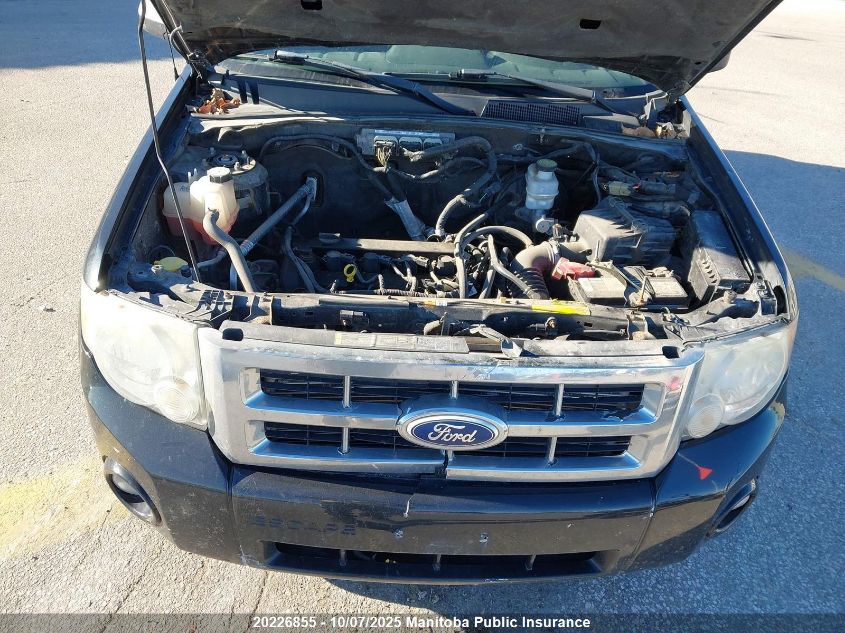 2011 Ford Escape Xlt VIN: 1FMCU9D75BKB04967 Lot: 20226855