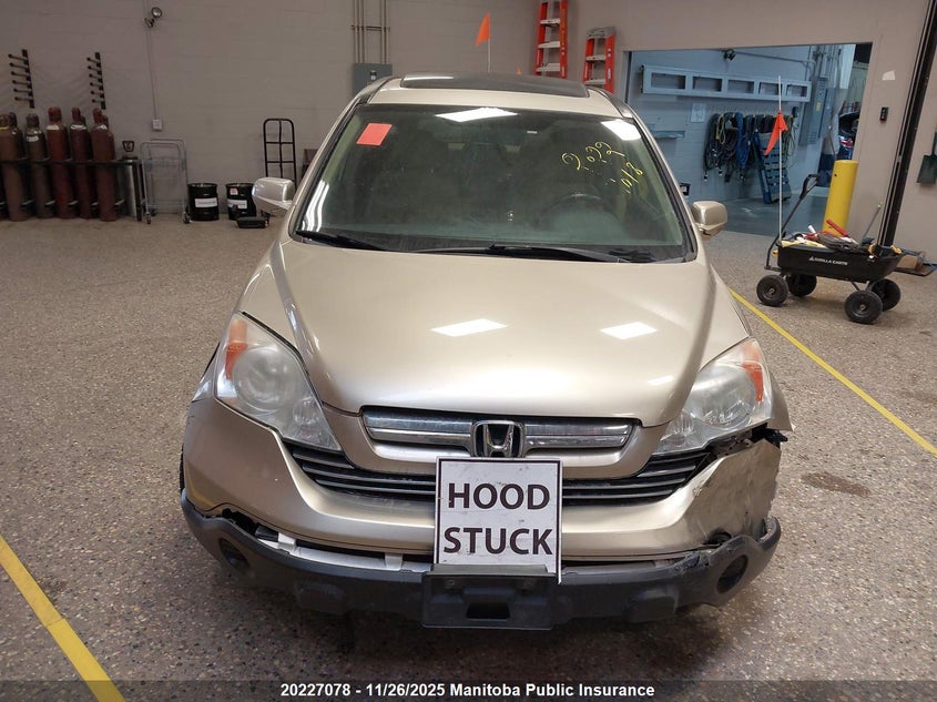 2008 Honda Cr-V Ex VIN: 5J6RE487X8L806823 Lot: 20227078