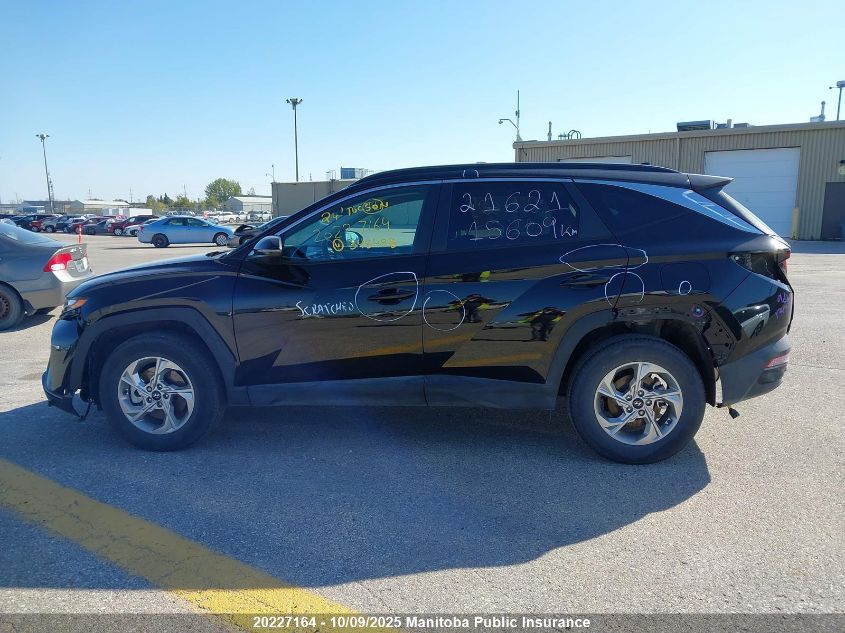 2024 Hyundai Tucson Preferred VIN: KM8JBCDE7RU345498 Lot: 20227164