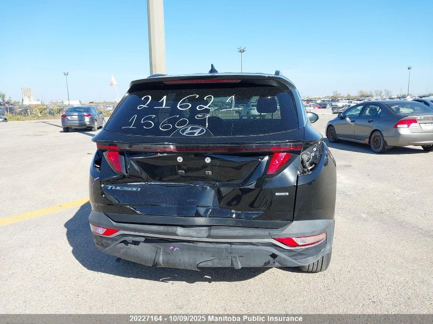 2024 Hyundai Tucson Preferred VIN: KM8JBCDE7RU345498 Lot: 20227164