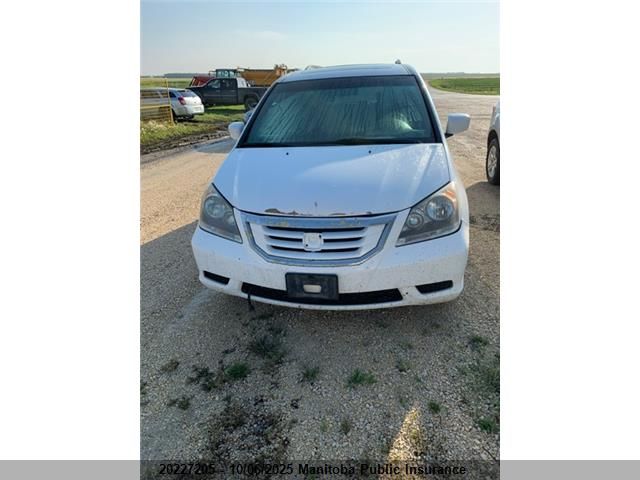 2008 Honda Odyssey Ex-L VIN: 5FNRL38668B505367 Lot: 20227205