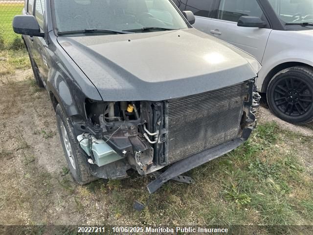 2009 Ford Escape Xlt VIN: 1FMCU93G99KC18496 Lot: 20227211