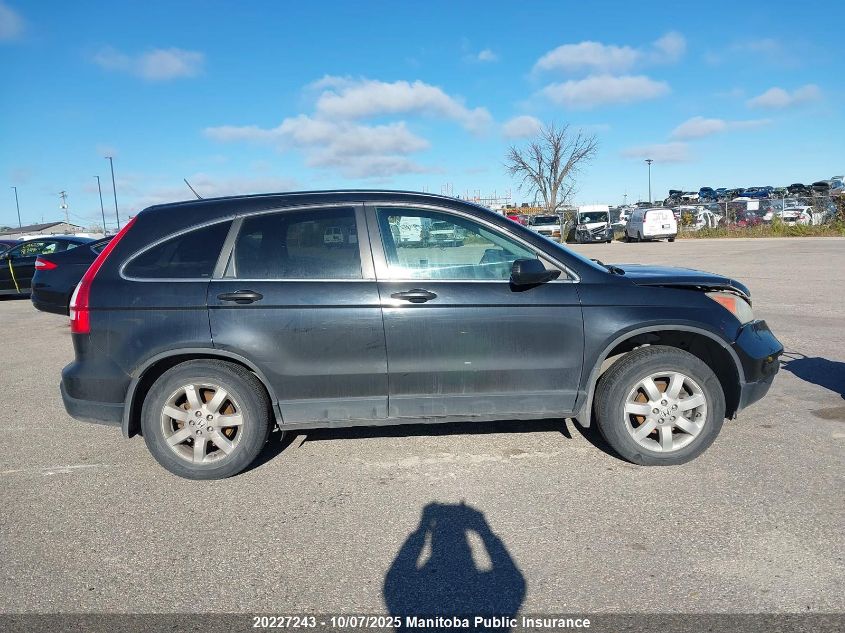 2007 Honda Cr-V Ex VIN: 5J6RE48597L813534 Lot: 20227243
