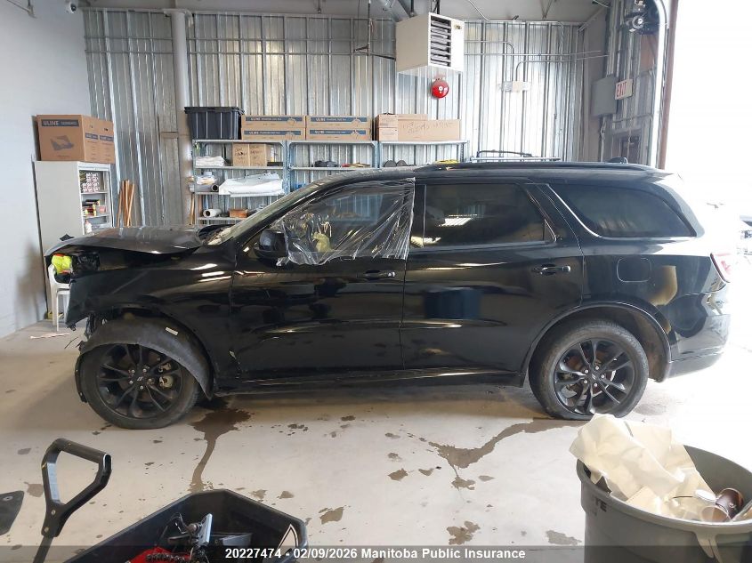 2022 Dodge Durango R/T VIN: 1C4SDJCT4NC198113 Lot: 20227474