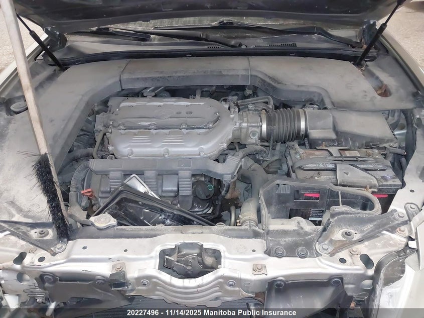 2010 Acura 3.7 Tl VIN: 19UUA9F29AA800515 Lot: 20227496