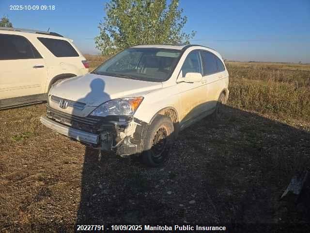 2009 Honda Cr-V Ex-L VIN: 5J6RE48749L805166 Lot: 20227791