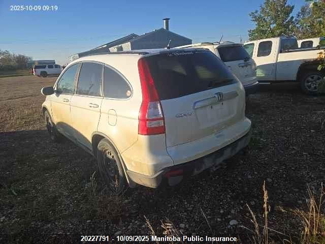 2009 Honda Cr-V Ex-L VIN: 5J6RE48749L805166 Lot: 20227791